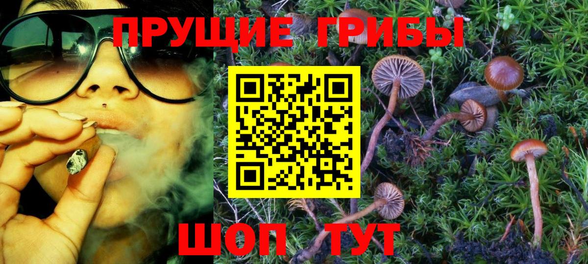 купить наркотик  Галлюциногенные грибы Cubensis  Галлюциногенные грибы Magic Shrooms  Вход с VPN  Челябинск 