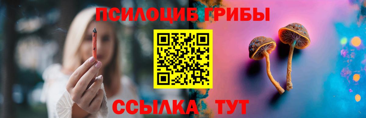 Псилоцибиновые грибы Psilocybine cubensis Челябинск